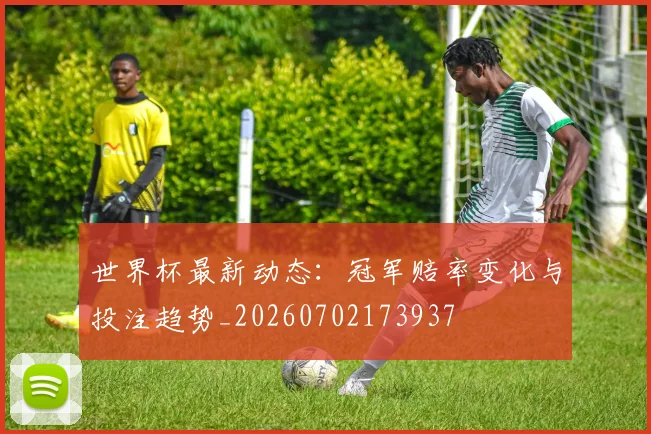 世界杯最新动态：冠军赔率变化与投注趋势_20260702173937