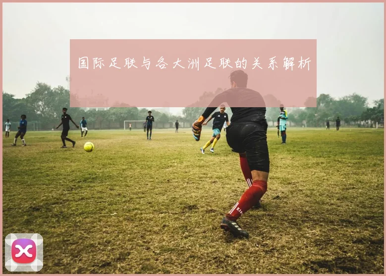 国际足联与各大洲足联的关系解析